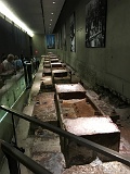 IMG 6699