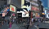 IMG 6749