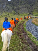 Horseriding Tour - 12