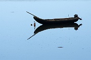 DSC 2025