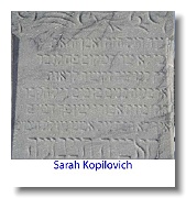 Kopliovich-Sarah