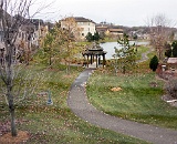 View from living and sun room windows