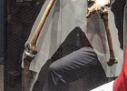 IMG 0814