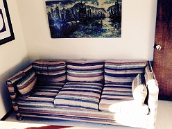 Couch Hidabed