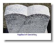 Kopilovich-Vanishing2