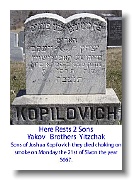 kopilovich7